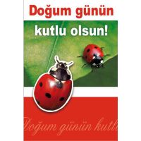 Sortiment Türkische Karten - 80 Glückwunschkarten - 16 Dekore á 5 Doppelkarten mit Umschlag - UVP-Gesamt: € 200,00