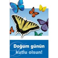 Sortiment Türkische Karten - 80 Glückwunschkarten - 16 Dekore á 5 Doppelkarten mit Umschlag - UVP-Gesamt: € 200,00