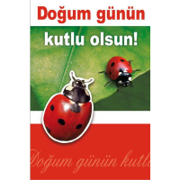 Sortiment Türkische Karten - 16 Glückwunschkarten - 16 Dekore á 1 Doppelkarte mit Umschlag - UVP-Gesamt: € 40,00