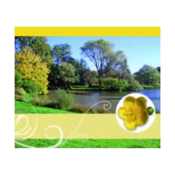 Ohne Text – Minikarte – 9 x 7,8 cm – mit Briefumschlag – Flusslauf und Bäume
