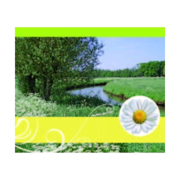 Ohne Text – Minikarte – 9 x 7,8 cm – mit Briefumschlag  - Flusslauf