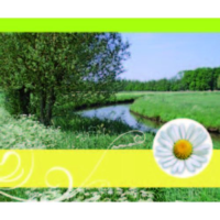 Ohne Text – Minikarte – 9 x 7,8 cm –...