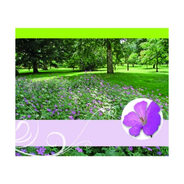 Ohne Text – Minikarte– 9 x 7,8 cm – mit Briefumschlag – Blumenwiese