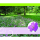 Ohne Text – Minikarte– 9 x 7,8 cm – mit Briefumschlag – Blumenwiese