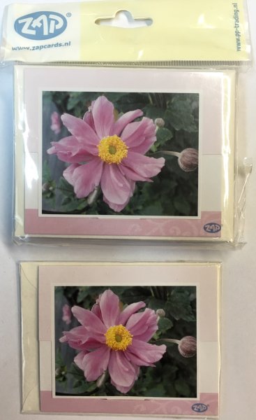 Ohne Text – Minikarte – 9 x 7,8 cm - mit Briefumschlag – Orchideen
