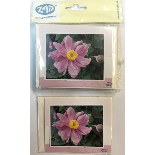 Ohne Text – Minikarte – 9 x 7,8 cm - mit Briefumschlag – Orchideen