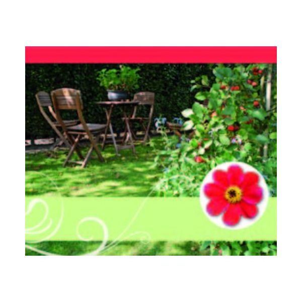 Ohne Text – Minikarte – 9 x 7,8 cm – mit Briefumschlag – Gartenstühle + Tisch