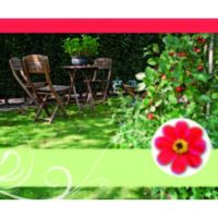 Ohne Text – Minikarte – 9 x 7,8 cm –...