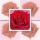 Ohne Text – Minikarte – 8 x 8 cm - mit Briefumschlag und Stanzung – Rose