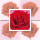 Ohne Text – Minikarte – 8 x 8 cm - mit Briefumschlag und Stanzung – Rose
