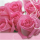 Ohne Text – Minikarte - 8 x 8 cm - mit Briefumschlag und Stanzung – Rosa Rosen