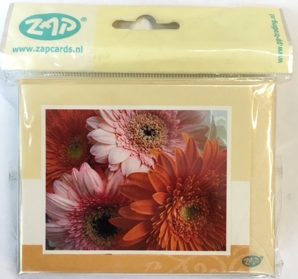 Ohne Text – Minikarte – 9 x 7,8 cm – mit Briefumschlag – Blumen
