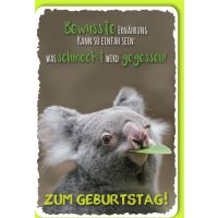Geburtstag Glückwunschkarte mit Umschlag Koala
