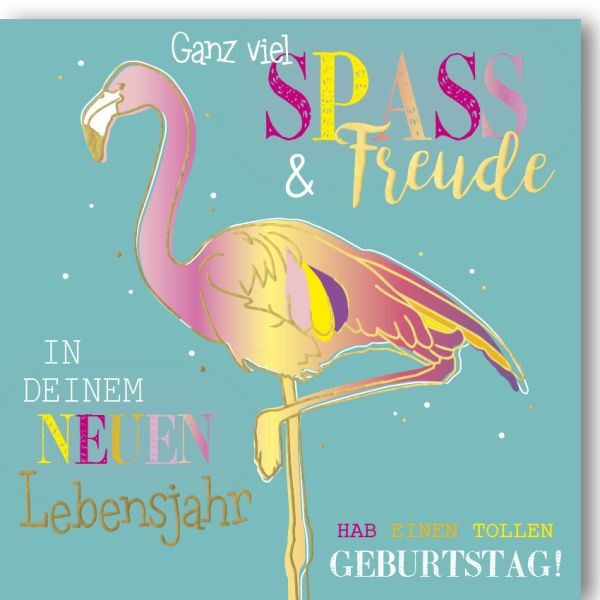 Geburtstag Glückwunschkarte mit Umschlag Flamingo