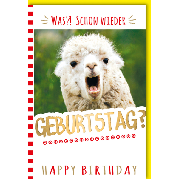 Geburtstag Glückwunschkarte mit Umschlag Lama