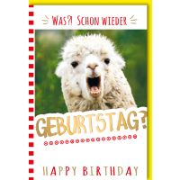Geburtstag Glückwunschkarte mit Umschlag Lama