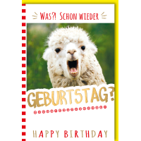 Geburtstag Glückwunschkarte mit Umschlag Lama