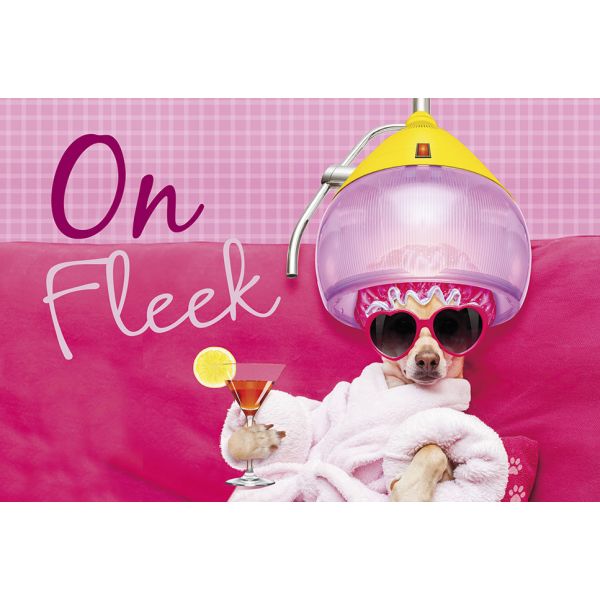Postkarte #like On Fleek Hund unter Trockenhaube Friseur – lässig cool