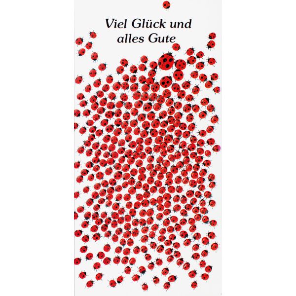 Allgemeine Wünsche Grußkarte mit Umschlag DIN Lang  Marienkäfer Viel Glück Alles Gute