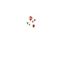 Gutschein Glückwunschkarte mit Umschlag Heißluftballon
