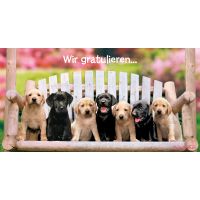 Wir gratulieren Glückwunschkarte 11,5 x 22 cm mit...