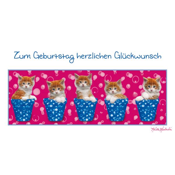 Geburtstag Glückwunschkarte 11,5 x 22 cm mit Umschlag – Kätzchen in Blumentopf Katzen