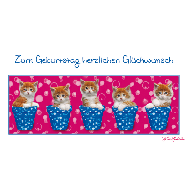 Geburtstag Glückwunschkarte 11,5 x 22 cm mit Umschlag – Kätzchen in Blumentopf Katzen