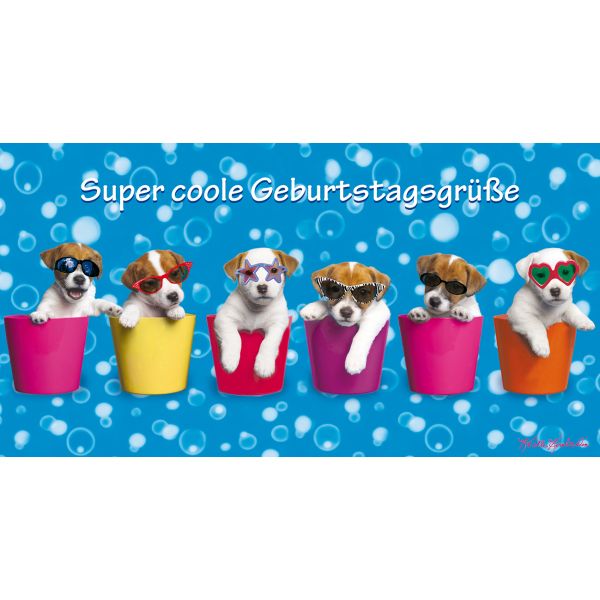 Geburtstag Glückwunschkarte 11,5 x 22 cm mit Umschlag – Welpen in Blumentopf Hunde