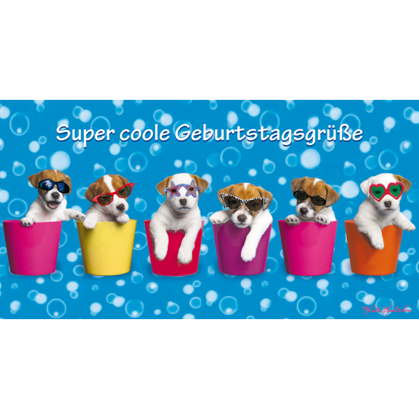 Geburtstag Glückwunschkarte 11,5 x 22 cm mit Umschlag – Welpen in Blumentopf Hunde