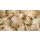 Blanko Glückwunschkarte 11,5 x 22 cm mit Umschlag – Hunde Welpen kuscheln Labrador Golden Retriever
