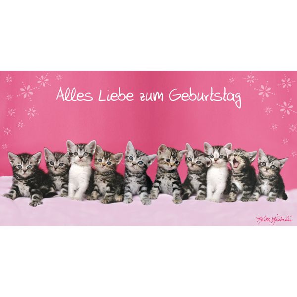 Geburtstag  Glückwunschkarte mit Umschlag DIN LANG Katzen Alles Liebe