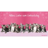 Geburtstag  Glückwunschkarte mit Umschlag DIN LANG...