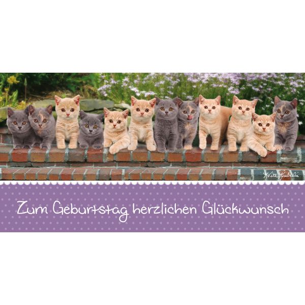 Geburtstag  Glückwunschkarte mit Umschlag DIN LANG Katzen Herzlichen Glückwunsch