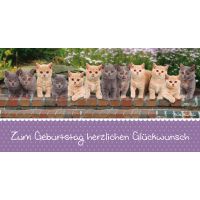 Geburtstag  Glückwunschkarte mit Umschlag DIN LANG...