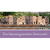 Geburtstag  Glückwunschkarte mit Umschlag DIN LANG...