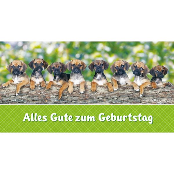 Geburtstag  Glückwunschkarte mit Umschlag DIN LANG Welpen Alles Gute