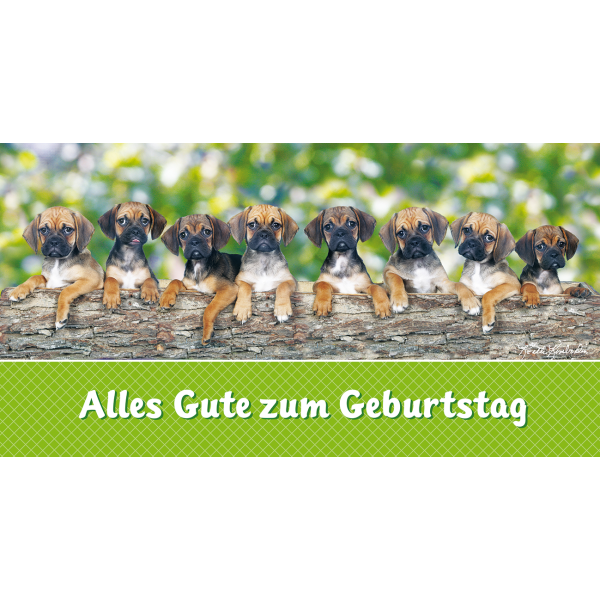 Geburtstag  Glückwunschkarte mit Umschlag DIN LANG Welpen Alles Gute