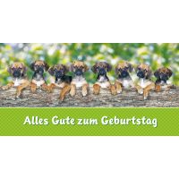 Geburtstag  Glückwunschkarte mit Umschlag DIN LANG...