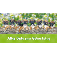 Geburtstag  Glückwunschkarte mit Umschlag DIN LANG...