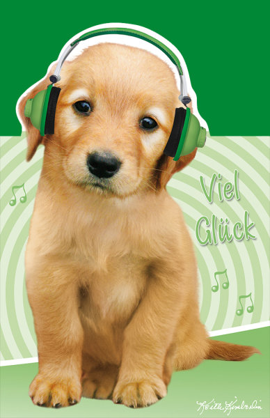 Viel Glück – Glückwunschkarte im Format 11,5 cm x 17,5 cm mit Umschlag – Welpe mit Kopfhörern