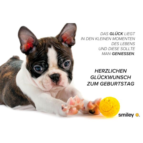 A - Geburtstag Smiley Glückwunschkarte mit Umschlag Welpe mit Smileyball