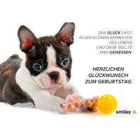 A - Geburtstag Smiley Glückwunschkarte mit Umschlag...