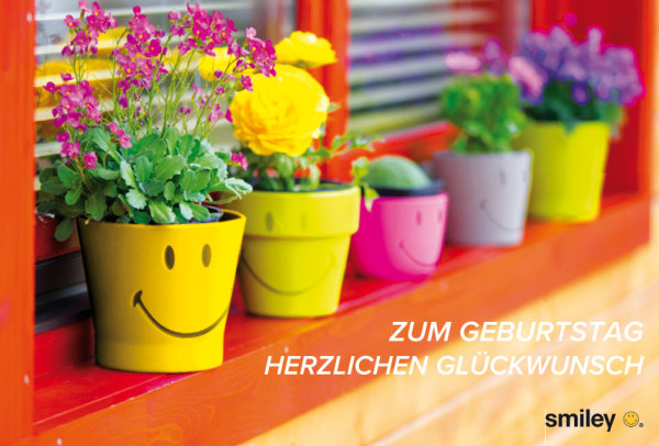 Allgemeine Wünsche – Glückwunschkarte im Format 11,5 cm x 17,5 cm mit Umschlag – Serie: Smiley – Blumentöpfe mit Smileys