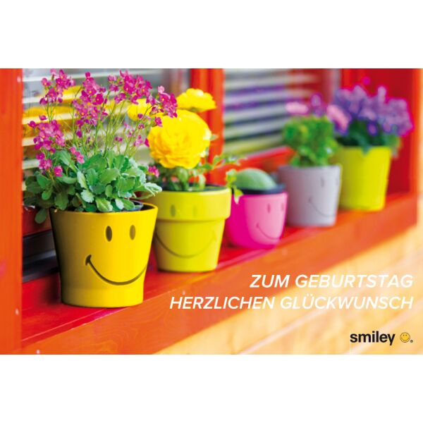 Geburtstag Smiley Glückwunschkarte mit Umschlag Blumentöpfe mit Smileys
