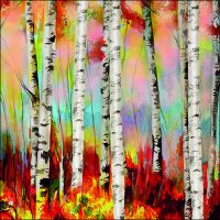 Servietten Format: 33 x 33 cm 3-lagig 20 Servietten Birch...