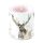 Kerze medium Ø 10 cm x 10 cm Brenndauer 45 Std. Antlers Hirsch mit Geweih