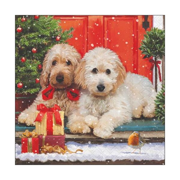 Weihnachten Cocktail Servietten 25 x 25 cm 3-lagig 15 Servietten Dogs at the door Hunde an der Tür