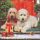 Weihnachten Cocktail Servietten 25 x 25 cm 3-lagig 15 Servietten Dogs at the door Hunde an der Tür