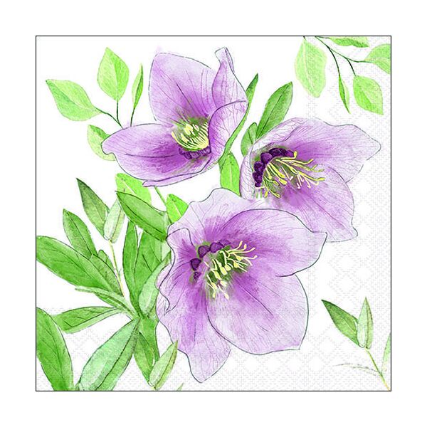 Weihnachten Servietten Format: 33 x 33 cm 3-lagig 20 Servietten Classic helleborus