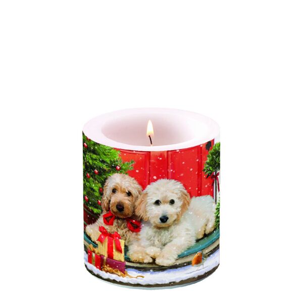 Weihnachten Kerze klein Ø 7,5 cm x 9 cm Brenndauer 35 Std Dogs at the door Hunde vor der Tür
